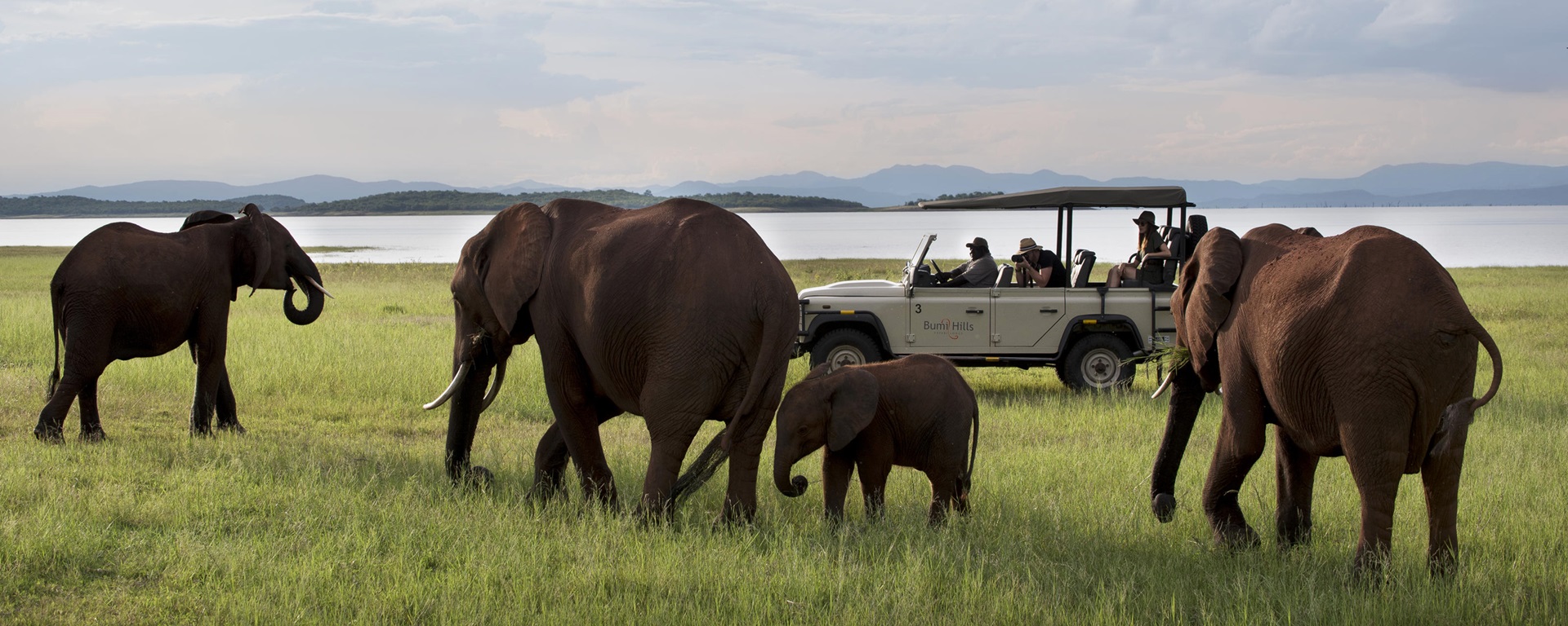 Luxury Safari Tourism Market 2023