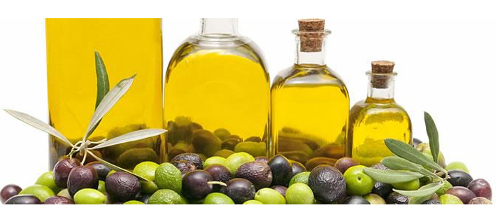 Specialty Fats and Oils Market 2023
