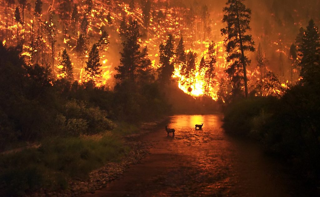 Forest fires in Alberta, Canada