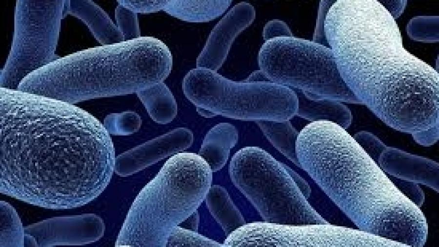 Antimicrobial Agents Market Report 2023