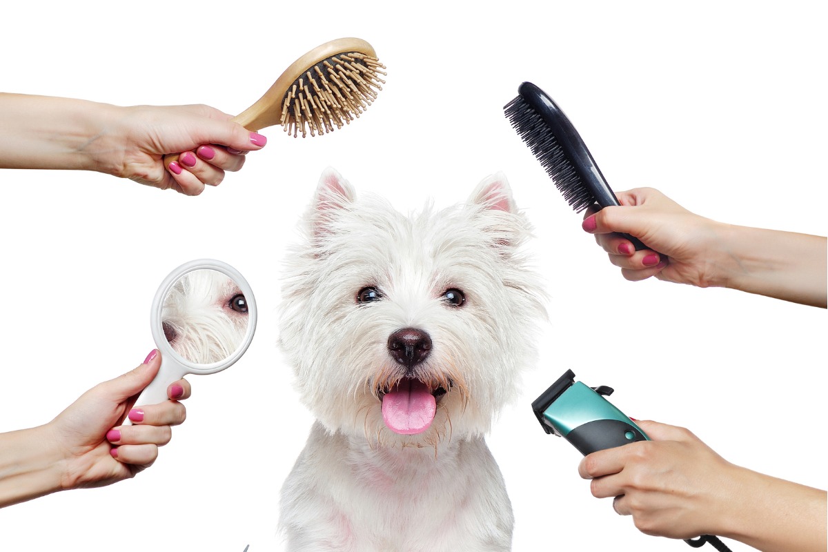 Pet Grooming Products Market 2023